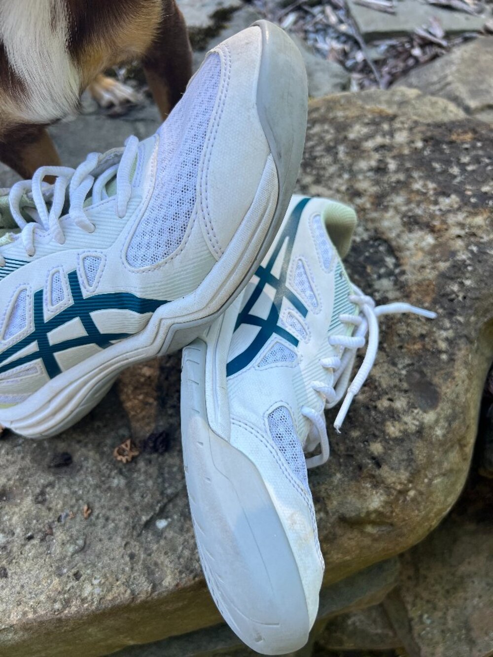 Asics women's sz 8 tennis/pickleball court shoes sneakers cushion comfort sports